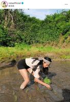 ローラのインスタグラム＠ｒｏｌａｏｆｆｉｃｉａｌより