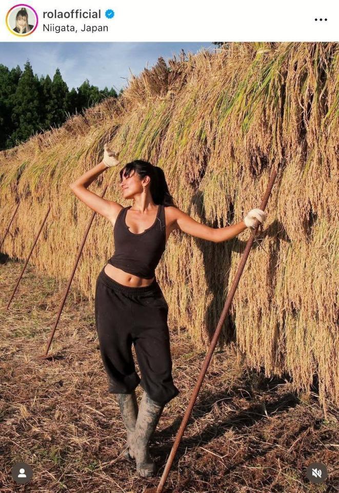 米を収穫するローラのインスタグラム＠ｒｏｌａｏｆｆｉｃｉａｌより