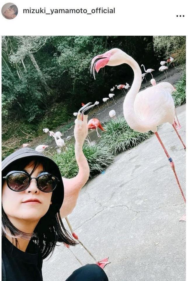　山本美月のインスタグラム＠ｍｉｚｕｋｉ＿ｙａｍａｍｏｔｏ＿ｏｆｆｉｃｉａｌから