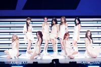 　パフォーマンスを行うＮｉｚｉＵ（撮影：田中聖太郎）