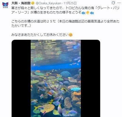 海遊館のＸ＠Ｏｓａｋａ＿Ｋａｉｙｕｋａｎ（１１月２５日付）より