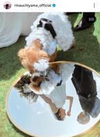 　内山理名のインスタグラム＠ｒｉｎａｕｃｈｉｙａｍａ＿ｏｆｆｉｃｉａｌ（２２年１１月７日付）より。撮影：高野友也氏