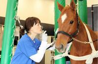 　（Ｃ）ＴＢＳ「ザ・ロイヤルファミリー」