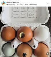 　こだわり生卵！専用醤油もすごい。神取忍のインスタグラム＠ｓｈｉｎｏｂｕｋａｎｄｏｒｉより