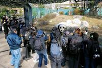 　中国への返還発表後、初の開園日を迎え、ジャイアントパンダを観覧する人たち＝16日午前