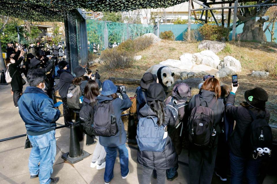 　中国への返還発表後、初の開園日を迎え、ジャイアントパンダを観覧する人たち＝16日午前