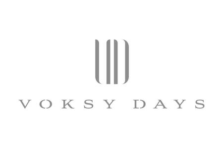 　ＶＯＫＳＹ　ＤＡＹＳロゴ