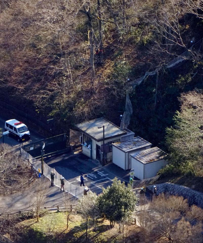 　ヨーロッパオオカミが脱走した多摩動物公園で、ネットを張り警戒する関係者（共同通信社ヘリから）