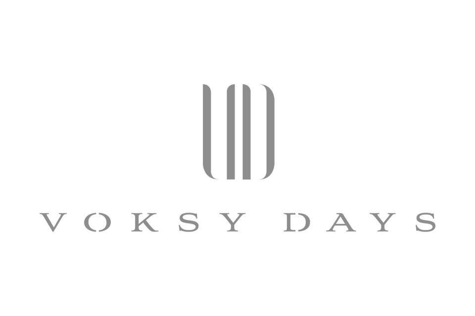 　ＶＯＫＳＹ　ＤＡＹＳロゴ