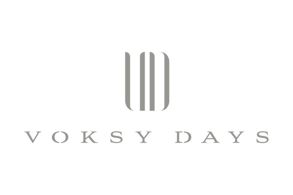 　ＶＯＫＳＹ　ＤＡＹＳのロゴ