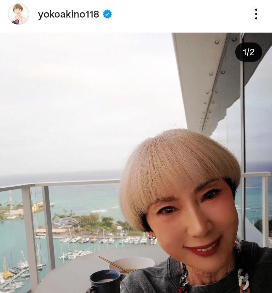 秋野暢子のインスタグラム＠ｙｏｋｏａｋｉｎｏ１１８より 