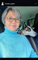 相楽晴子のインスタグラム＠ｈａｒｕｋｏ＿ｓａｇａｒａから