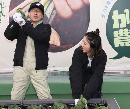 桐谷広人氏（左）のかぶを抜くタイミングが早く驚く池田美優（撮影・佐々木彰尚）