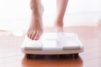 ※画像はイメージ