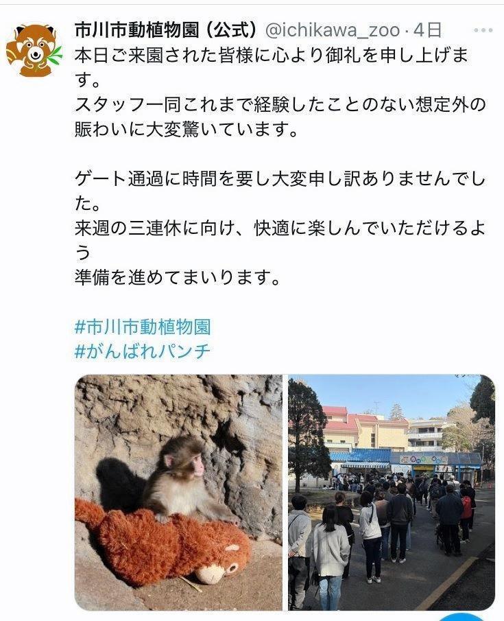 市川市動植物園のＸより