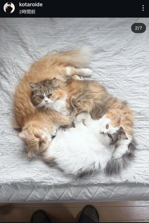 ＫＯＴＡＲＯ　ＩＤＥのインスタグラム＠ｋｏｔａｒｏｉｄｅ