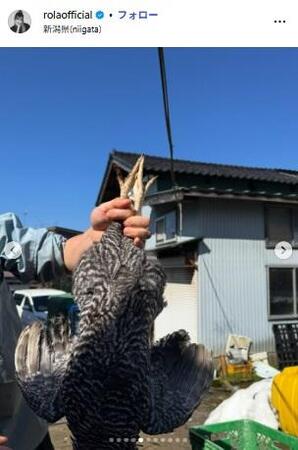 ローラ（ＲＯＬＡ）のインスタグラム（＠ｒｏｌａｏｆｆｉｃｉａｌ）より