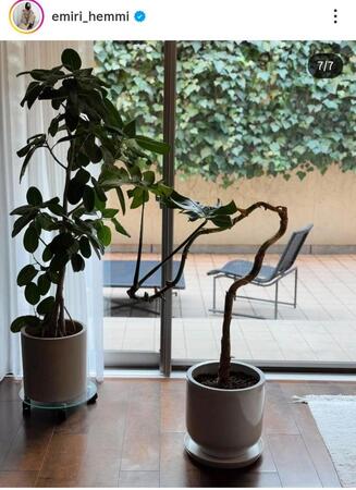 辺見えみりのインスタグラム＠ｅｍｉｒｉ＿ｈｅｍｍｉより 