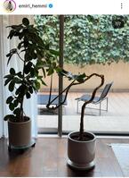 辺見えみりのインスタグラム＠ｅｍｉｒｉ＿ｈｅｍｍｉより 