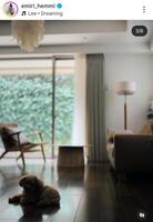 辺見えみりのインスタグラム＠ｅｍｉｒｉ＿ｈｅｍｍｉより