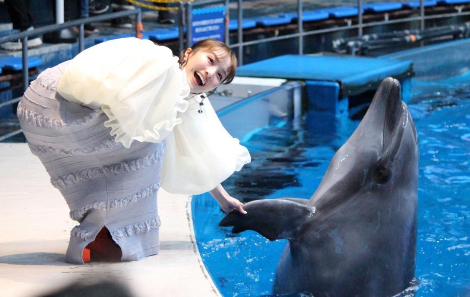 　イルカとふれ合う百田夏菜子