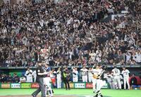 ３回、勝ち越しソロを放った鈴木を迎えるナインとファン（撮影・西岡正）