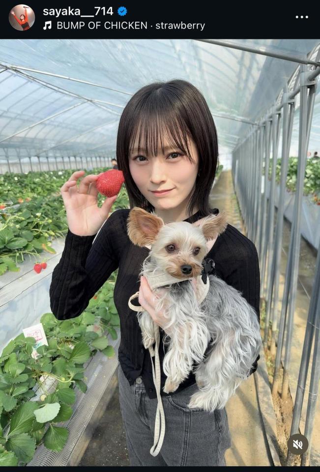 山本彩のインスタグラム＠ｓａｙａｋａ＿＿７１４から