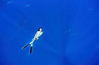 沢尻エリカの写真集「ＤＡＹ　ＯＦＦ」から