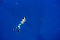 ２０年ぶり写真集を発売する沢尻エリカ