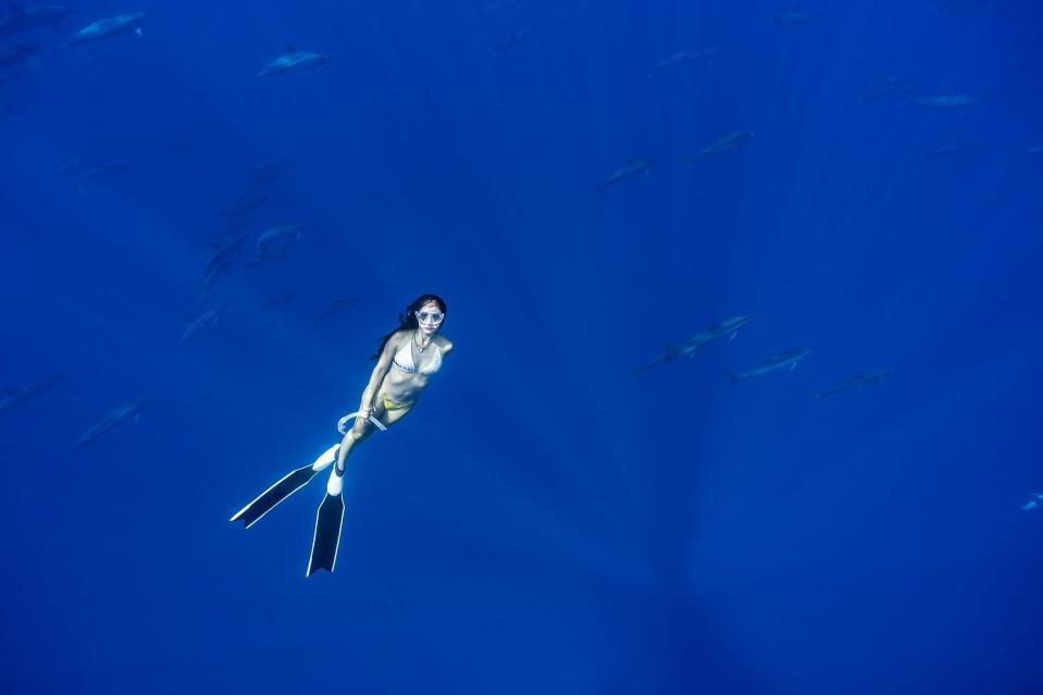 ２０年ぶり写真集を発売する沢尻エリカ