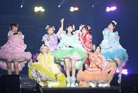 ライブで魅了するＦＲＵＩＴＳ　ＺＩＰＰＥＲの（前列左から）早瀬ノエル、櫻井優衣、鎮西寿々歌、（後列左から）松本かれん、仲川瑠夏、月足天音、真中まな（撮影・開出牧）