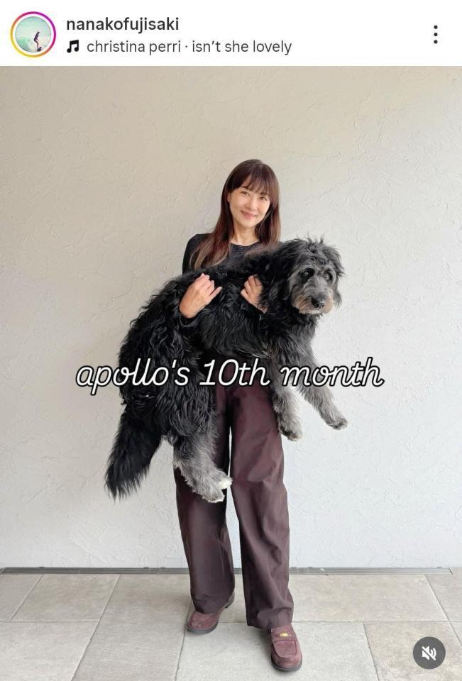 藤崎奈々子のインスタグラム＠ｎａｎａｋｏｆｕｊｉｓａｋｉ（２月２５日付）より