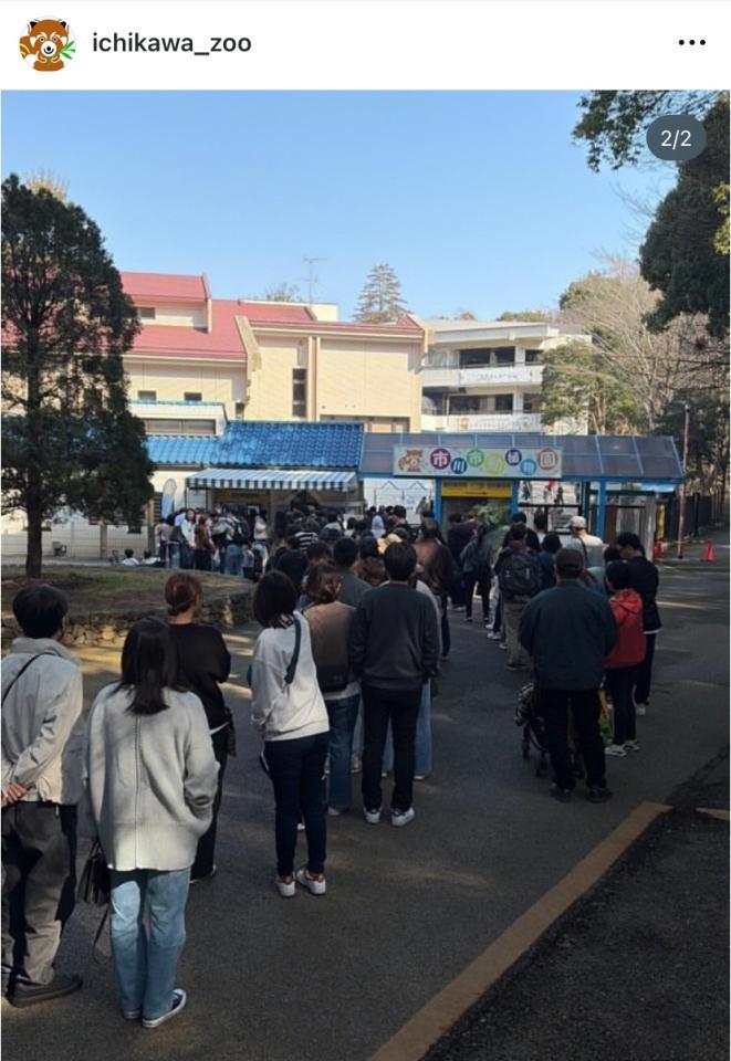 市川市動植物園のインスタグラム（＠ｉｃｈｉｋａｗａ＿ｚｏｏ）より