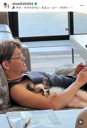 照英のインスタグラム＠ｓｈｏｅｉ０４０４０４から