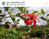 松岡朱里のインスタグラム＠ｊｕｒｉ＿ｍａｔｓｕｏｋａ＿ｅｘから