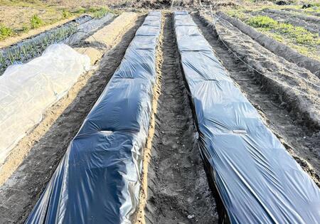 　春野菜用に作った畝。家庭菜園を始めて今年で５年目だが、失敗だらけで