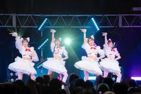 今冬の解散を発表したわーすた