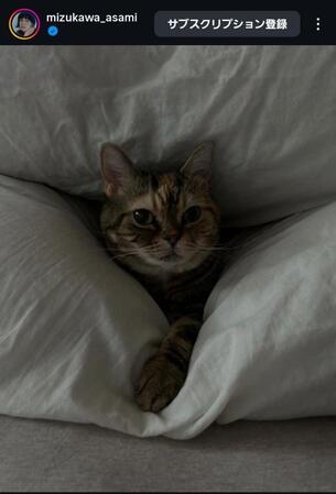 水川あさみインスタグラム＠ｍｉｚｕｋａｗａ＿ａｓａｍｉから