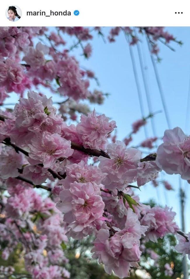 本田真凜のインスタグラム＠ｍａｒｉｎ＿ｈｏｎｄａから