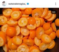 渡邊渚のインスタグラム＠ｗａｔａｎａｂｅｎａｇｉｓａ＿より