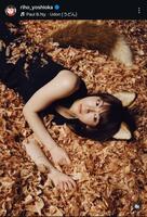 吉岡里帆インスタグラム＠ｒｉｈｏ＿ｙｏｓｈｉｏｋａから