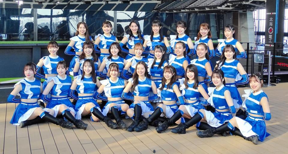 ファイターズガール