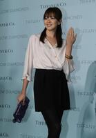 イエローダイヤモンドのワールドプレミアに出席したＳＨＩＨＯ（１０年４月撮影）