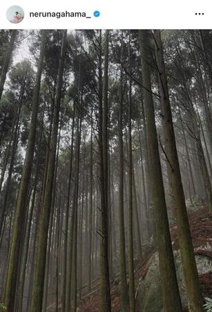 長濱ねるのインスタグラム＠ｎｅｒｕｎａｇａｈａｍａ＿から