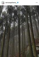 長濱ねるのインスタグラム＠ｎｅｒｕｎａｇａｈａｍａ＿から