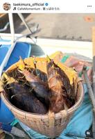 木村多江のインスタグラム＠ｔａｅｋｉｍｕｒａ＿ｏｆｆｉｃｉａｌから