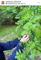 木村多江のインスタグラム＠ｔａｅｋｉｍｕｒａ＿ｏｆｆｉｃｉａｌから