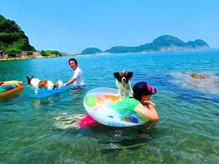 青井浜わんわんビーチ