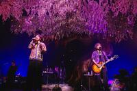 全国ツアーのファイナル公演を行ったポルノグラフィティ