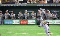 ９日の巨人戦で２回、２ランを放った前川を見つめる阪神ナイン